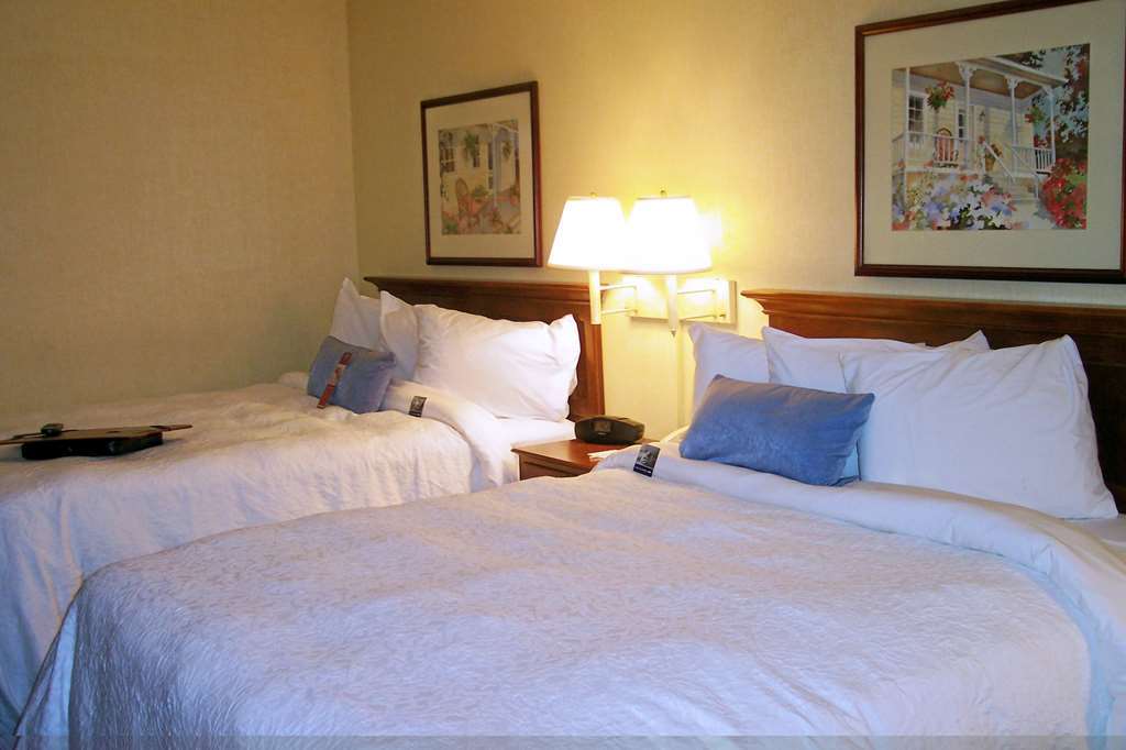 Hampton Inn Salem East - Electric Road Ruang foto